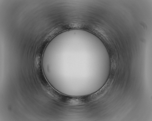 X0000112940171200909071102