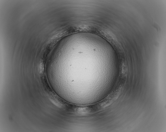 X0000112940173200909071102