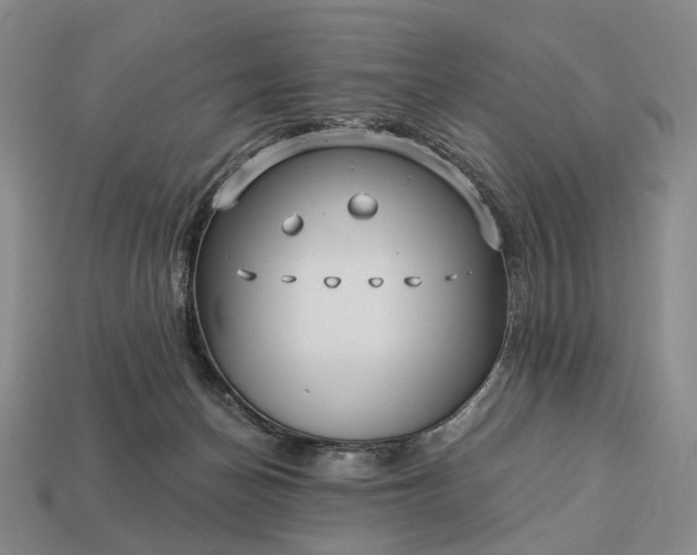 X0000112940174200909071102