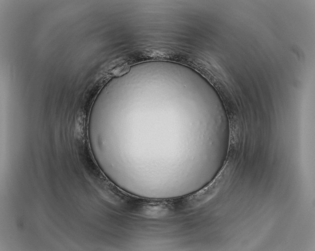 X0000112940175200909071102