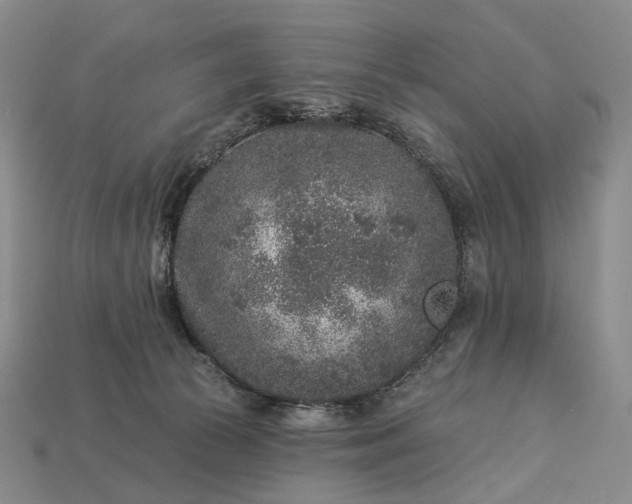 X0000112940177200909071102