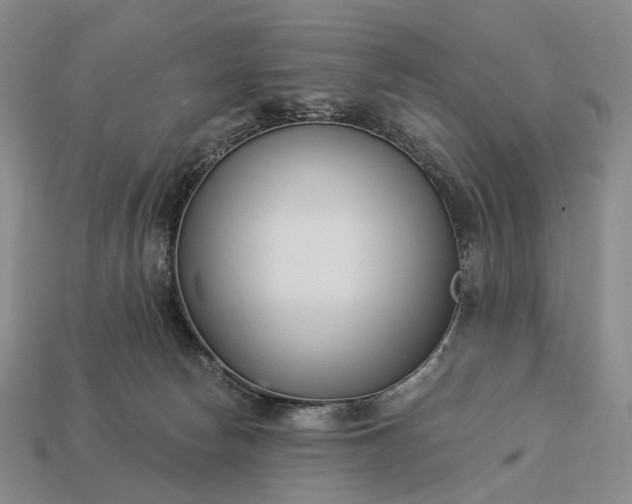 X0000112940178200909071102