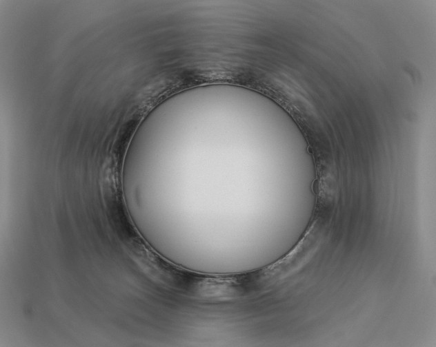 X0000112940179200909071102