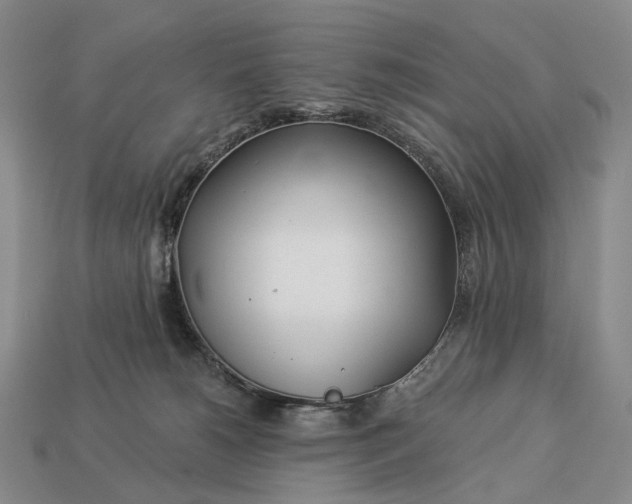 X0000112940180200909071102