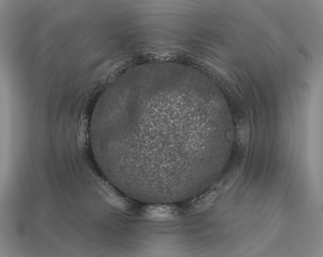 X0000112940181200909071102