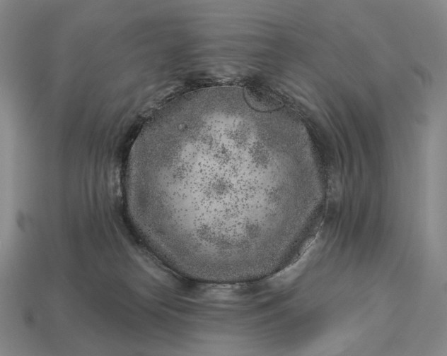 X0000112940182200909071102