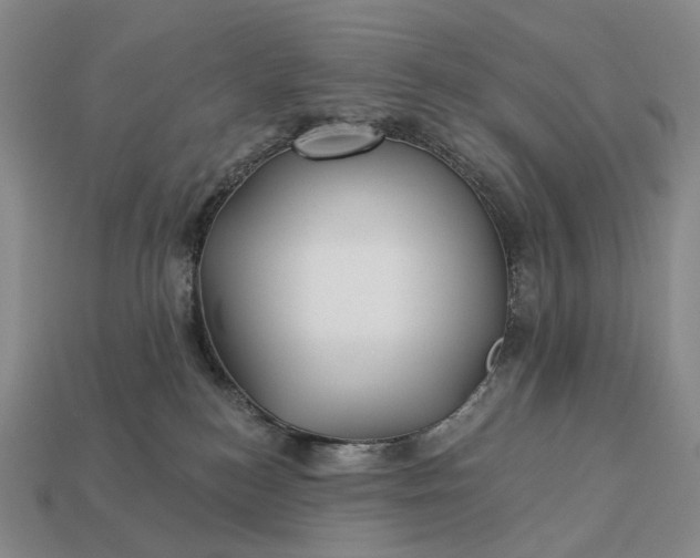 X0000112940184200909071102