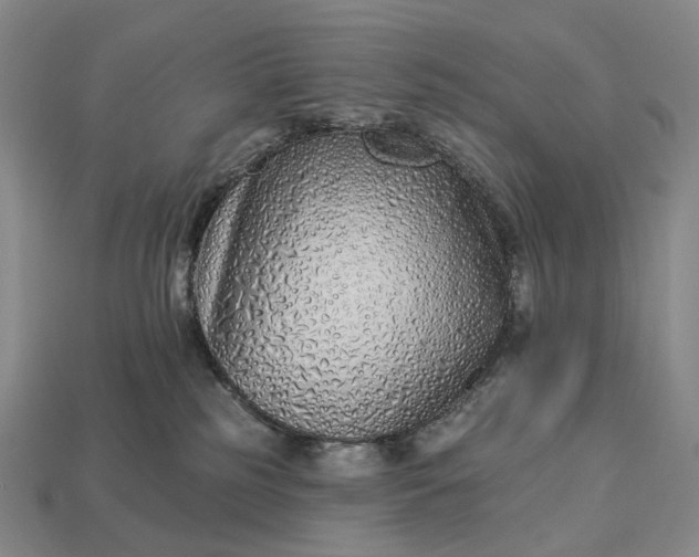 X0000112940185200909071102