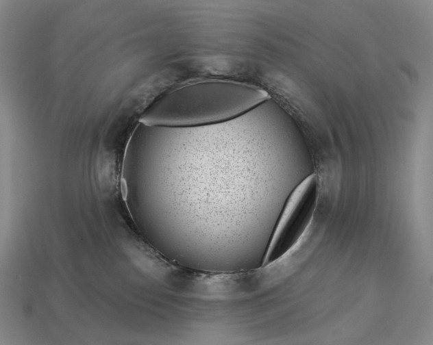 X0000112940186200909071102