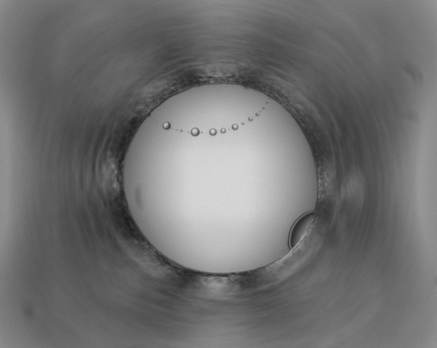 X0000112940187200909071102