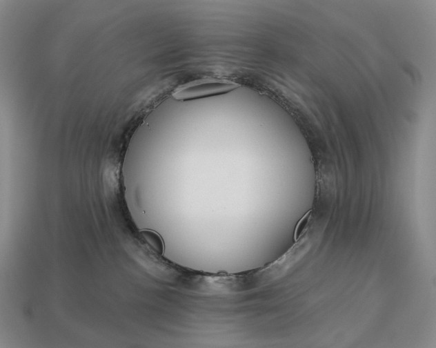 X0000112940188200909071102