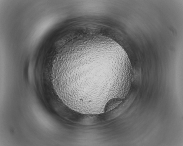 X0000112940189200909071102