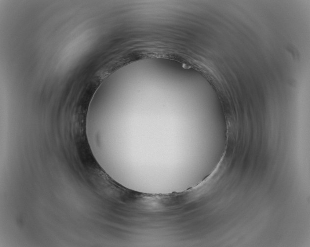 X0000112940190200909071102