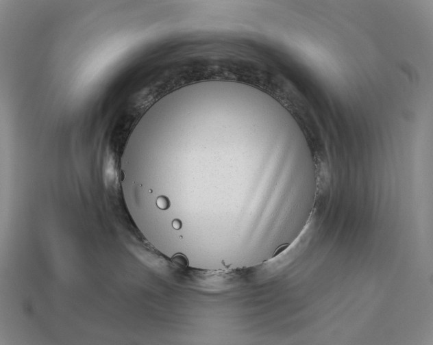 X0000112940191200909071102