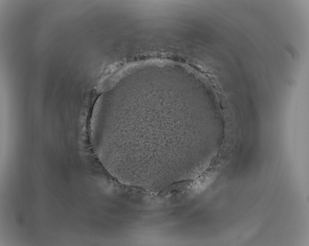 X0000112940192200909071102