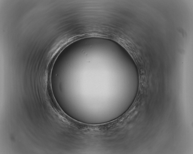 X0000112940194200909071102