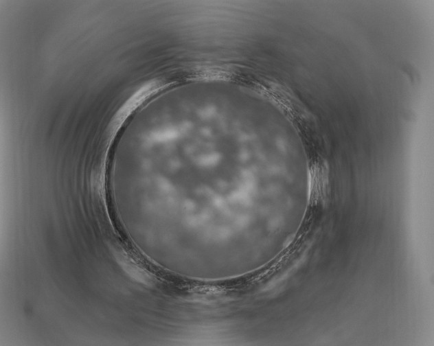 X0000112940195200909071102