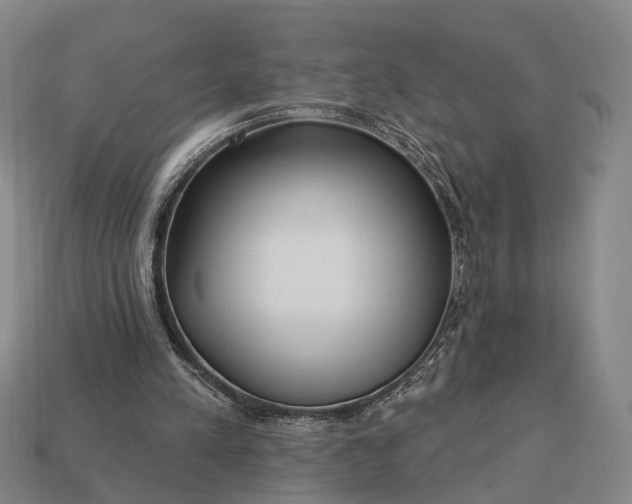 X0000112940197200909071102