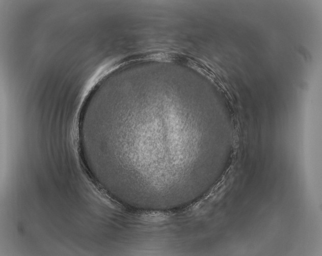 X0000112940198200909071102