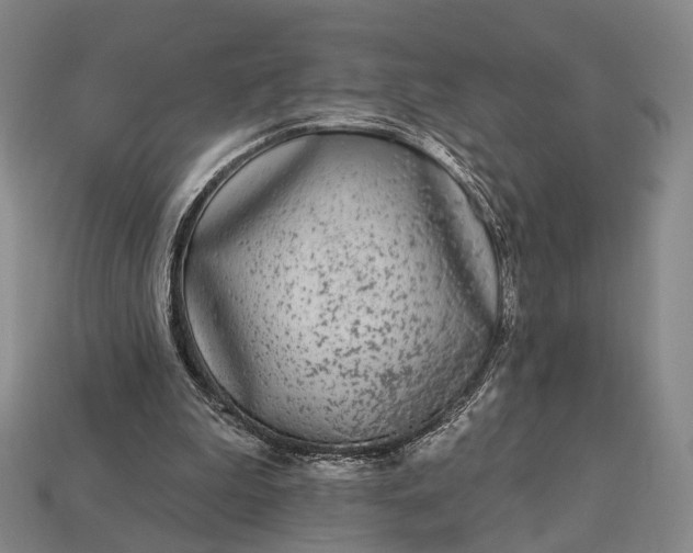 X0000112940199200909071102