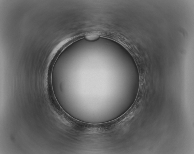 X0000112940200200909071102