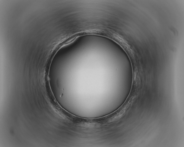 X0000112940201200909071102