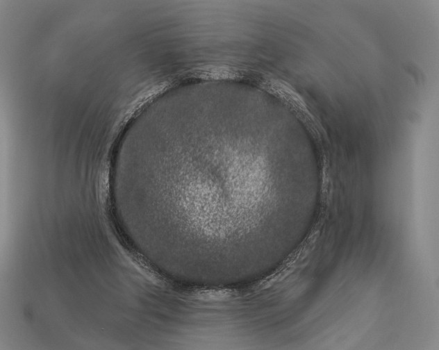 X0000112940202200909071102