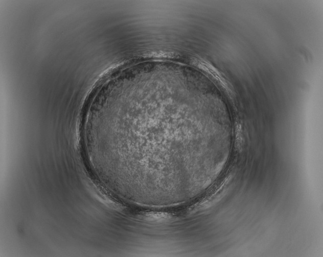 X0000112940203200909071102