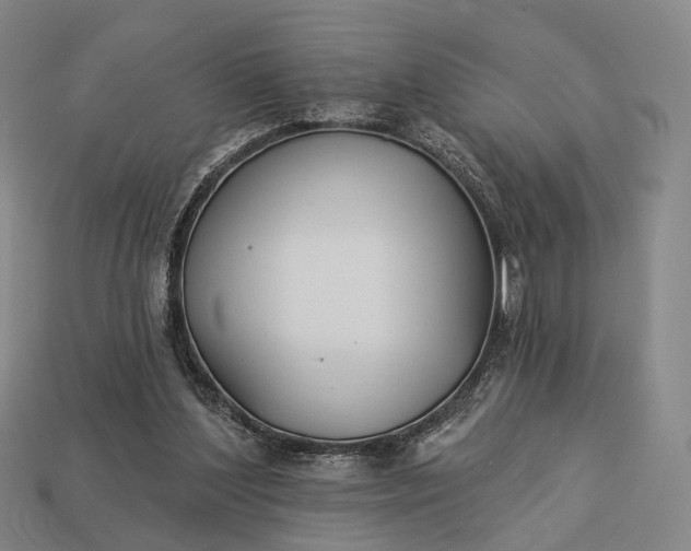 X0000112940204200909071102