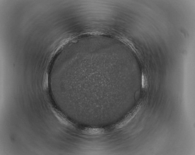 X0000112940205200909071102