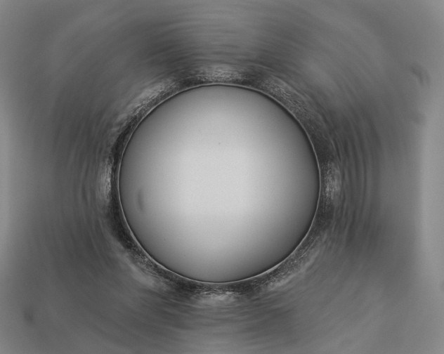 X0000112940206200909071102