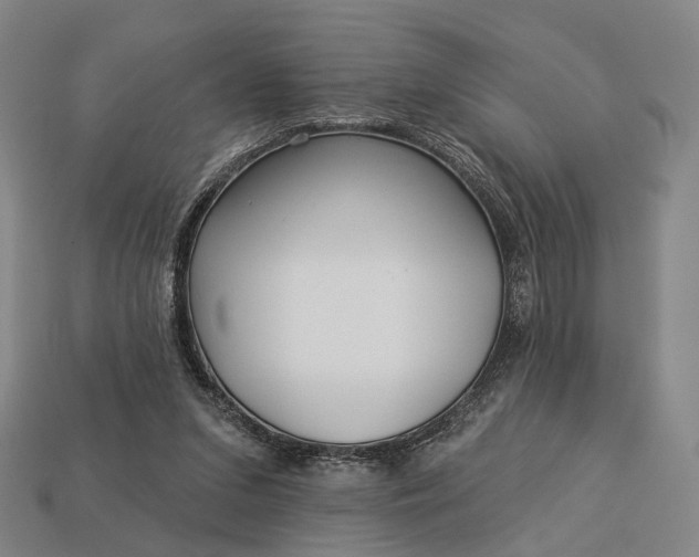 X0000112940207200909071102