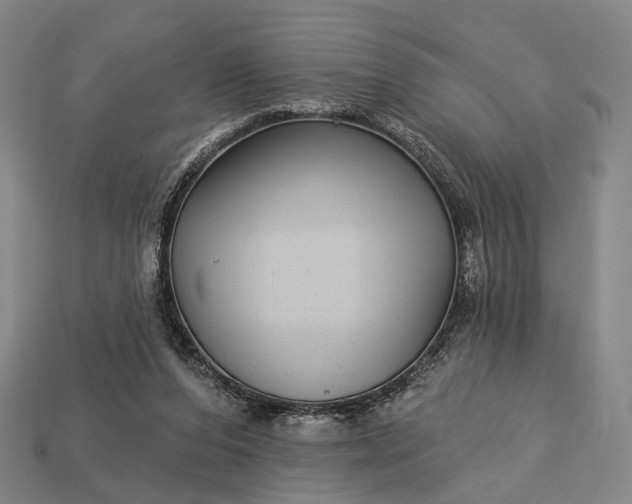 X0000112940208200909071102