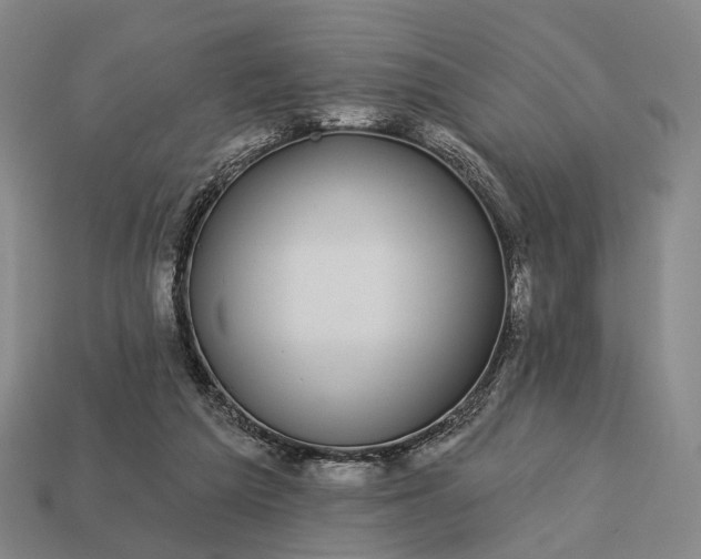 X0000112940209200909071101