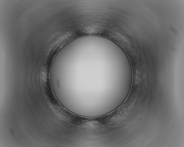 X0000112940210200909071101