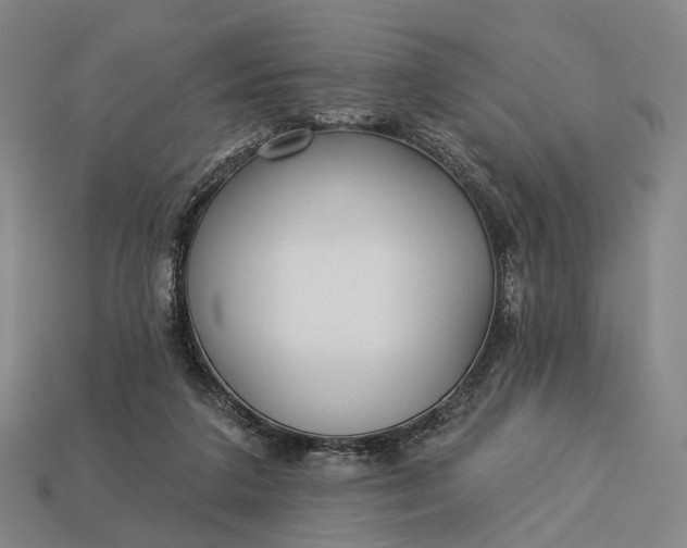 X0000112940211200909071101