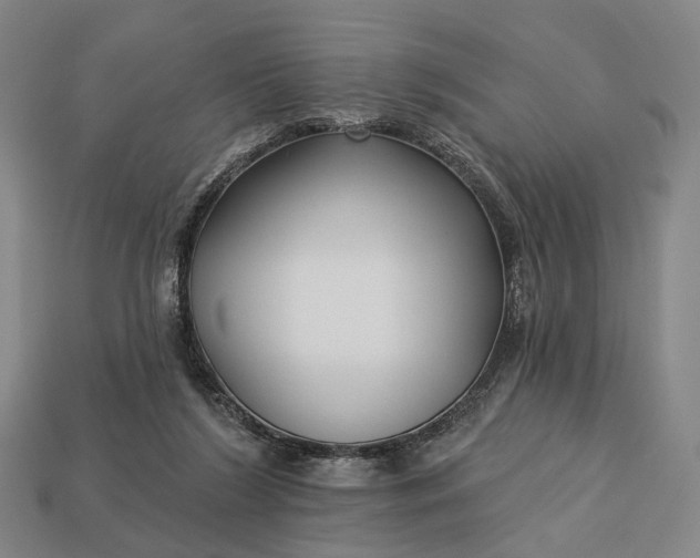 X0000112940212200909071101