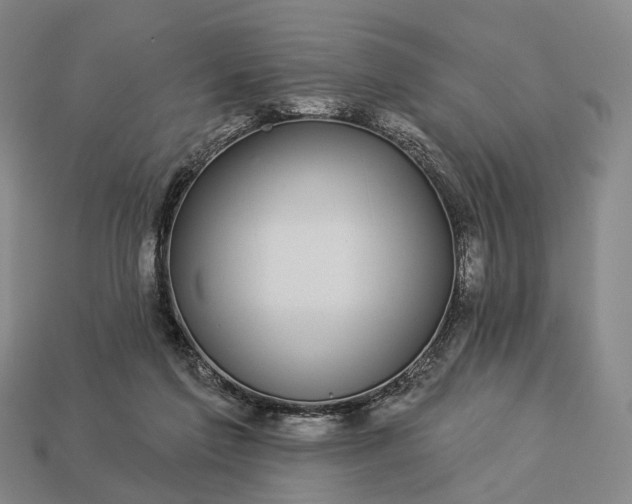 X0000112940213200909071101