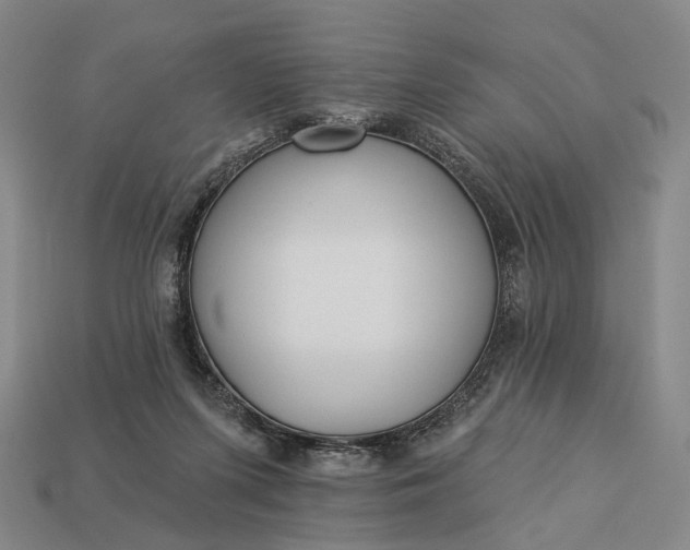 X0000112940215200909071101