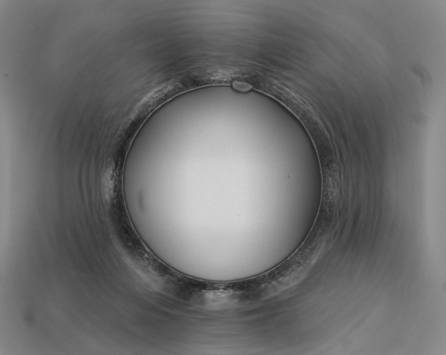 X0000112940216200909071101