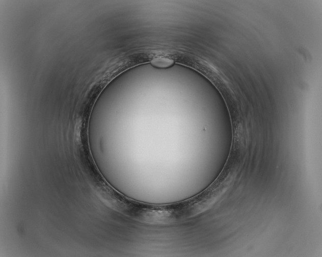 X0000112940217200909071101