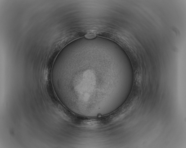 X0000112940219200909071101