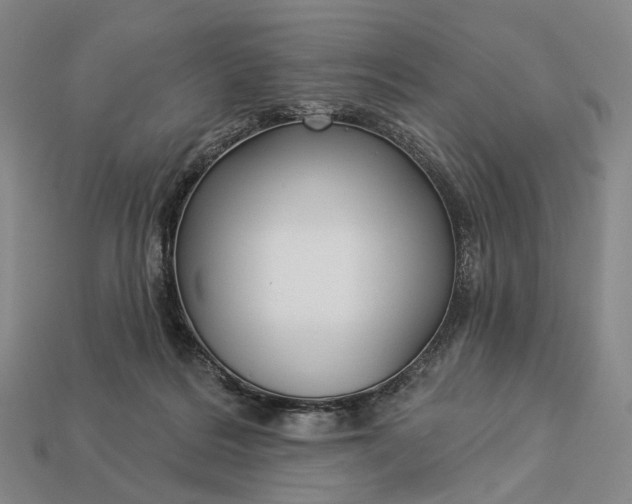 X0000112940220200909071101