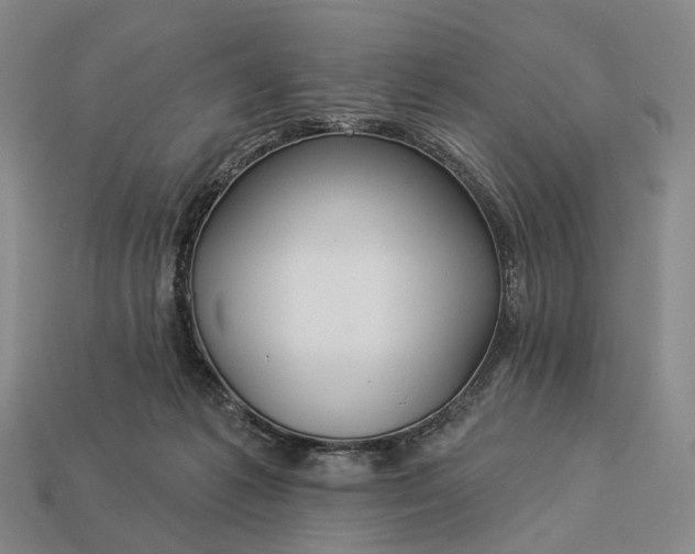 X0000112940221200909071101