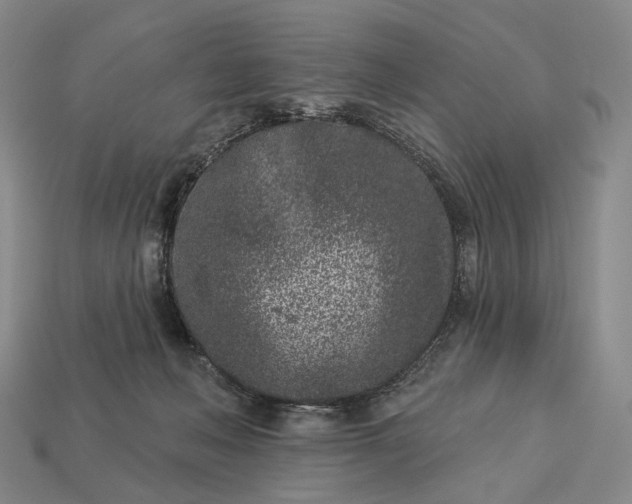 X0000112940222200909071101