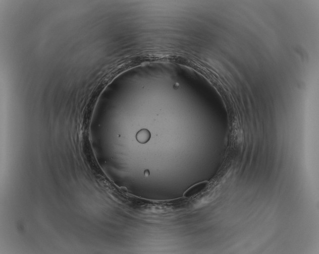 X0000112940223200909071101