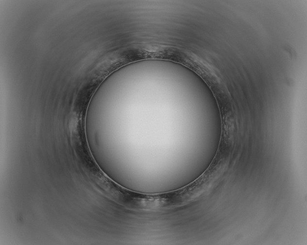 X0000112940225200909071101