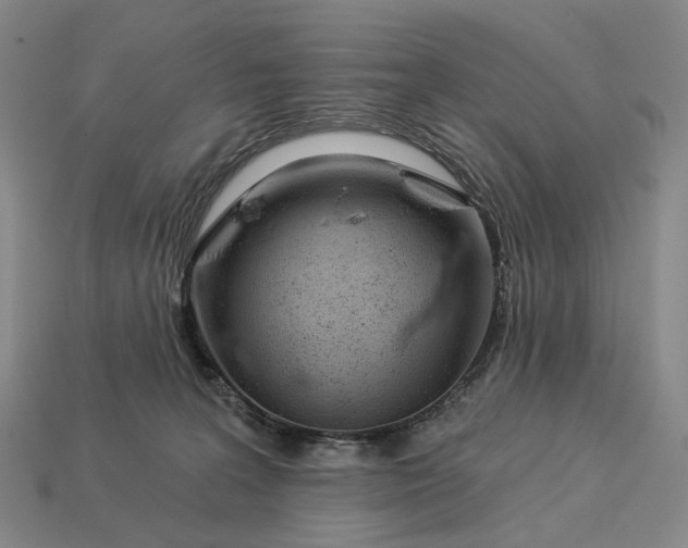 X0000112940227200909071101