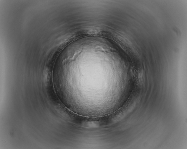 X0000112940228200909071101