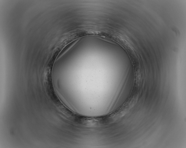 X0000112940229200909071101